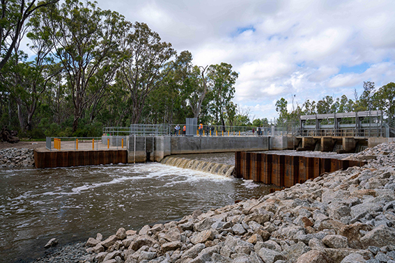 Image of a weir and a fishway on a creek, with water flowing down