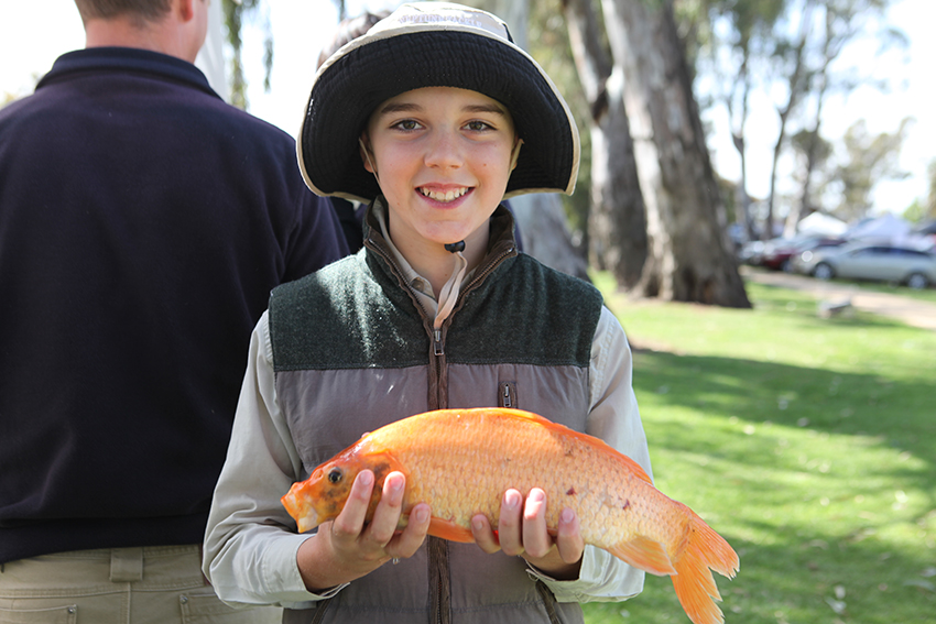 Young boy holding a carp.