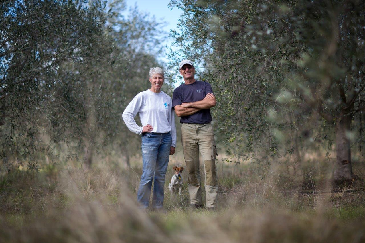 Photo of a man and a woman standing in an olive grove, with a small dog at their feet.