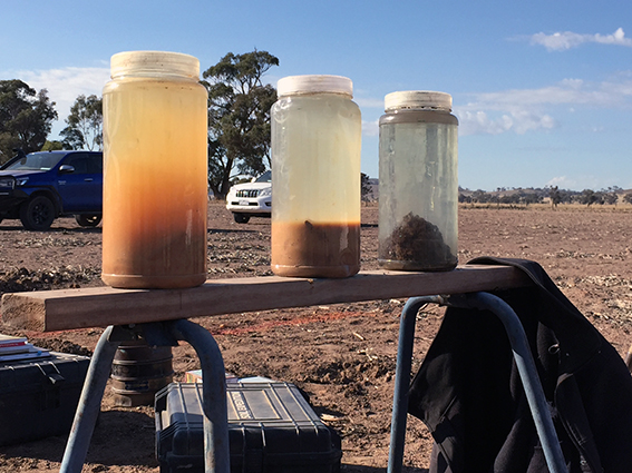Three jars of soil  and water perched on a sawhorse in a paddock