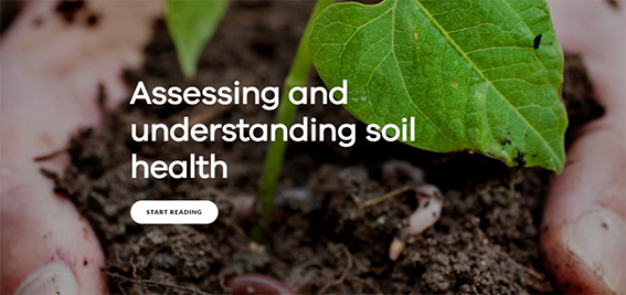 Image of a person holding soil
