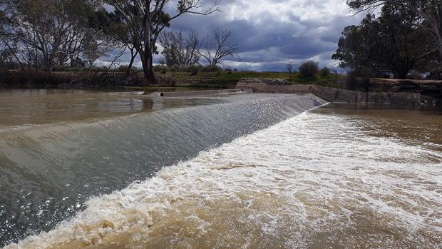 Image of water running over a weir with a paddock in the background