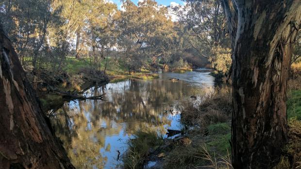 Image of Campaspe River 