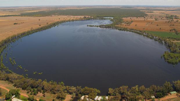 Aerial shot of a full lake in the foreground and a native Australian bush forest connected to it in the background.