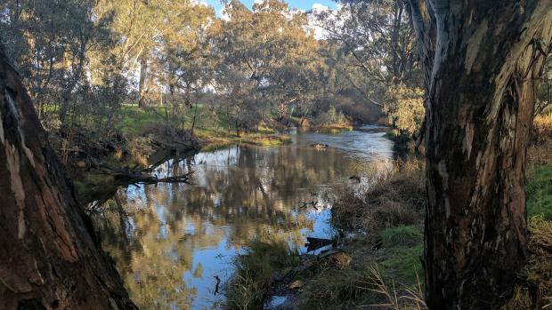 Flowing water in the Campaspe River