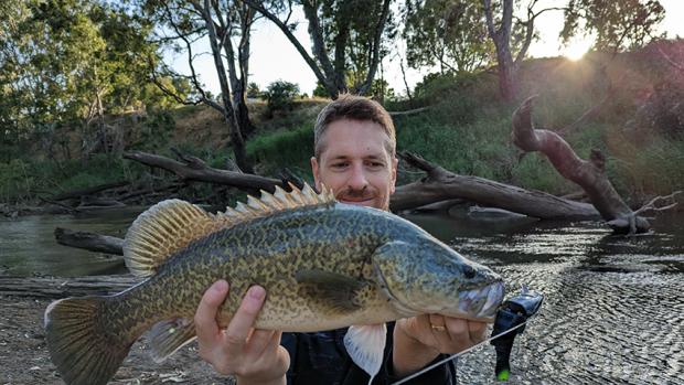 Man on the banks of a river in the morning holding up a Murray cod he has just caught