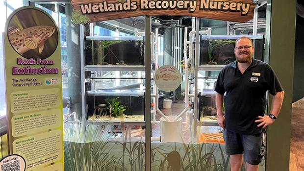 Man in a black top and dark shorts stands in front of multiple fish taknsm, with 'Wetlands recovery Nursery' on a sign above them. To the right is a sign explaining the exhibition.