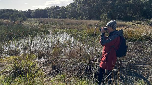 Lady standing near a wetland looking through binoculars