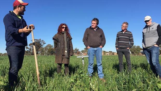 Group of people standing in a paddock listening to a farmer talk 