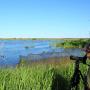 A lady looking out over a wetland through a telescope
