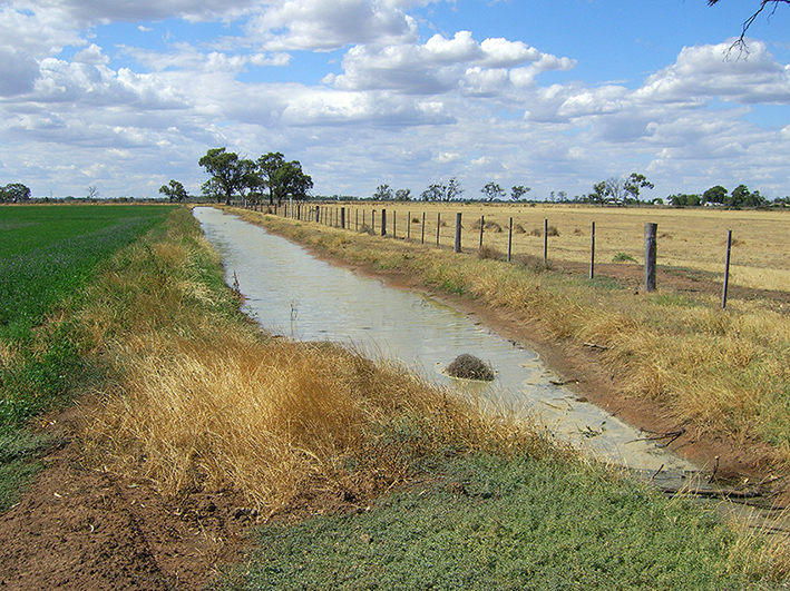 Image of a drain running alongside a fence separating two paddocks.